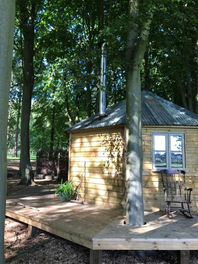 Woodpecker Cabin With Hot Tub 金斯林 外观 照片