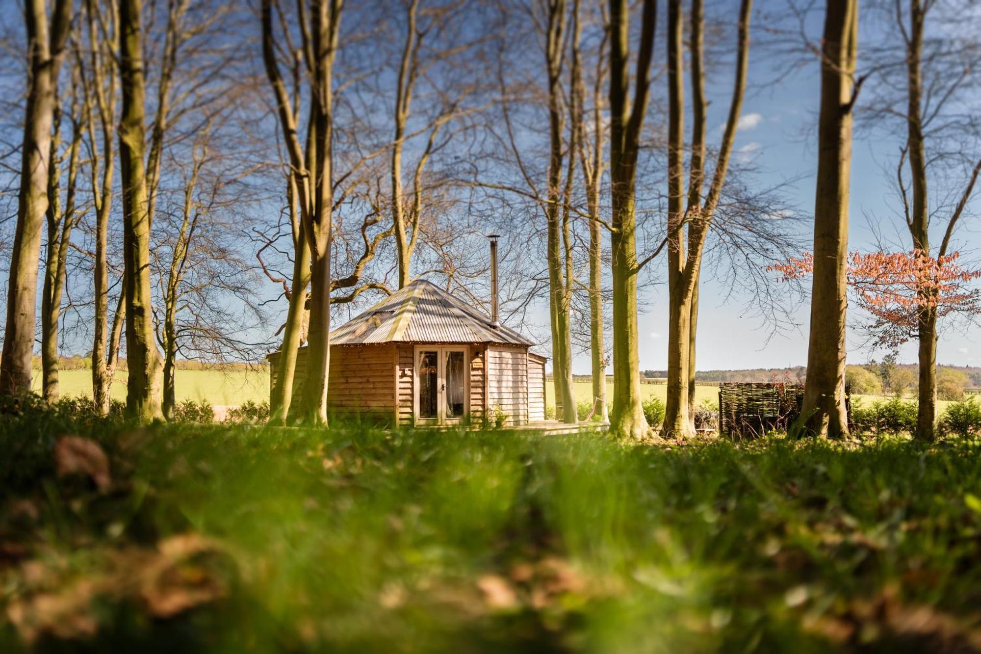 Woodpecker Cabin With Hot Tub 金斯林 外观 照片